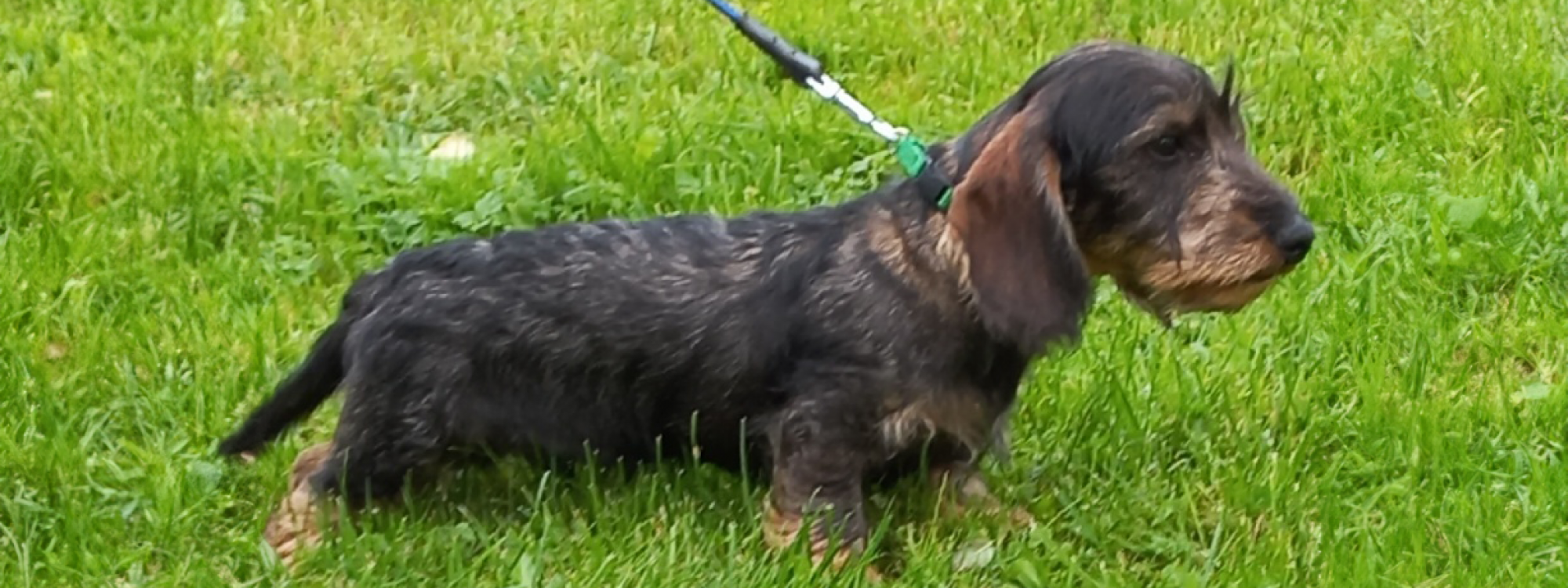 20221005_165024-Wiederhergestellt